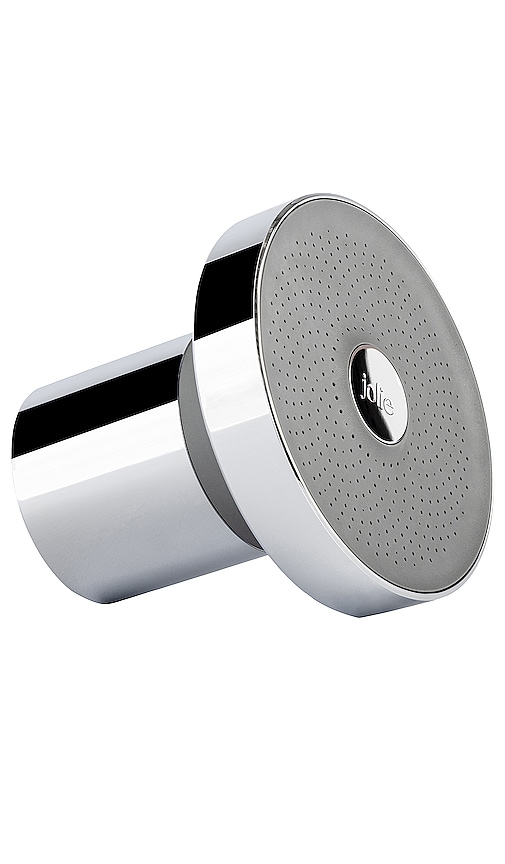 Filtered Showerhead in Modern Chrome